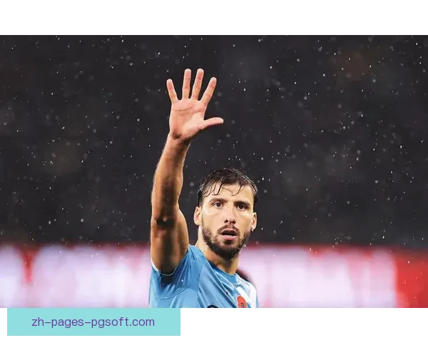 博阿斯当选波尔图俱乐部主席开启巨龙军团新时代改革蓝图复兴希望